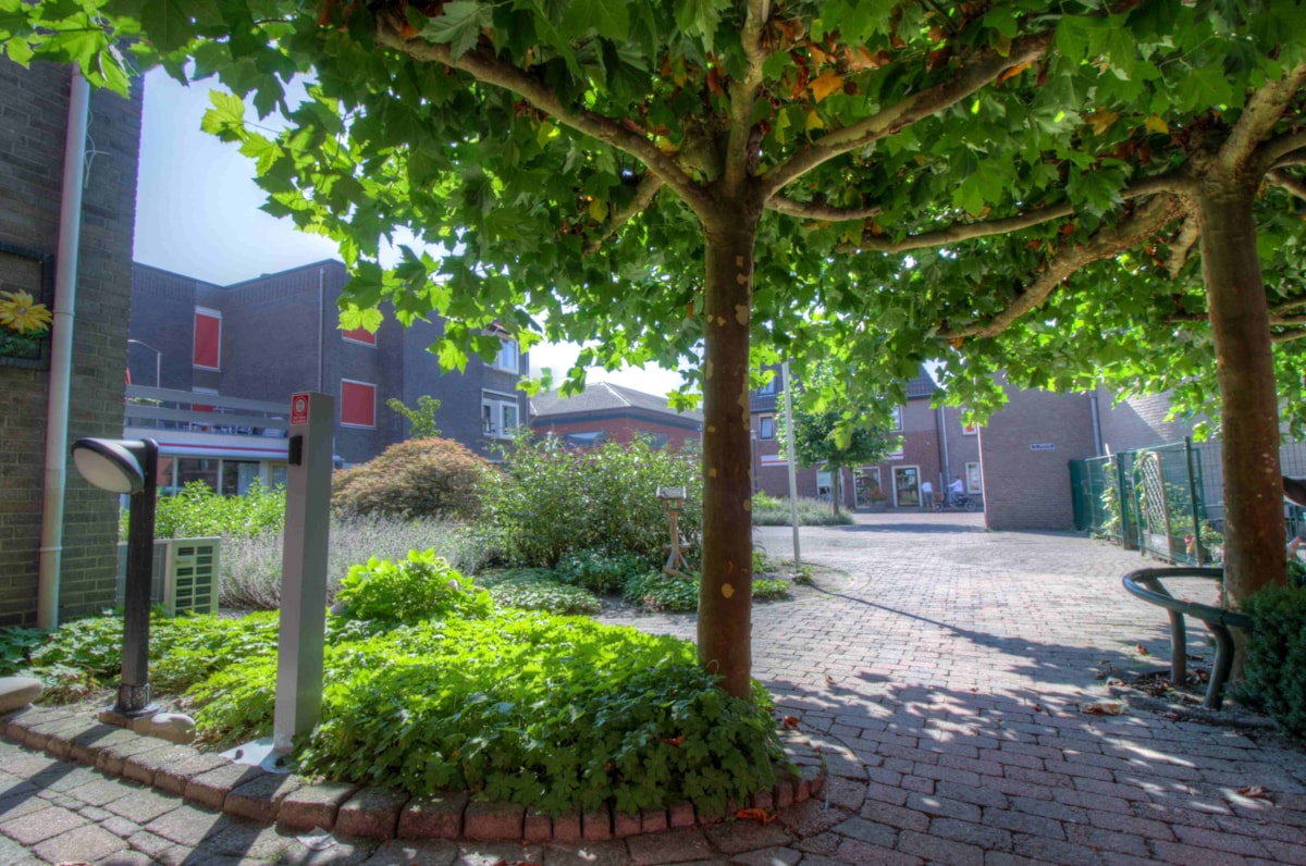 Afbeelding 6 van De Wieken
